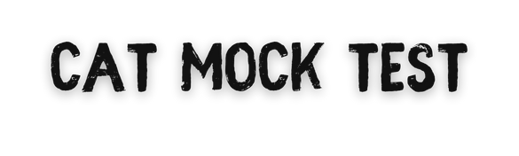 CatMockTest